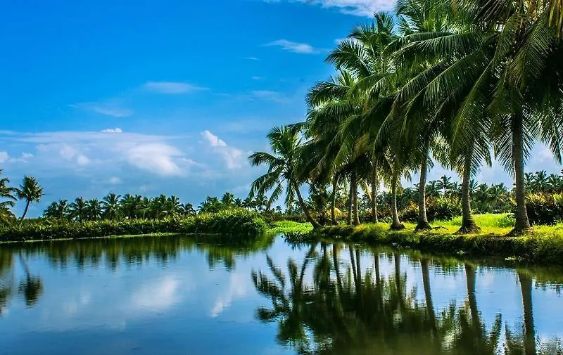 Sea Breeze Beach Home Alappuzha