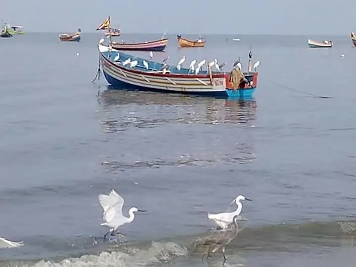 Sea Breeze Beach Home Alappuzha